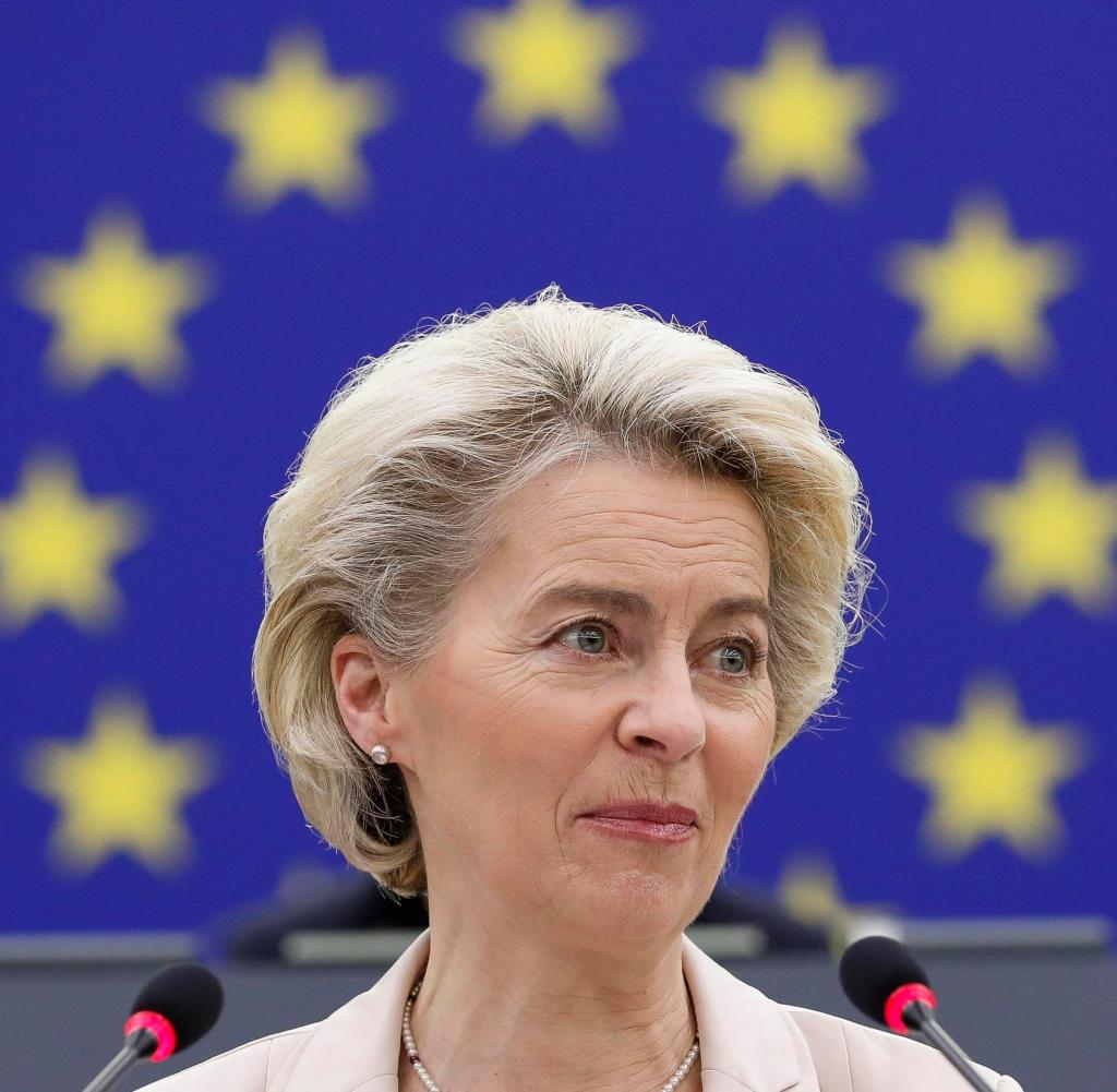 Ursula von der Leyen (CDU) is under pressure from parliamentarians from her own party family