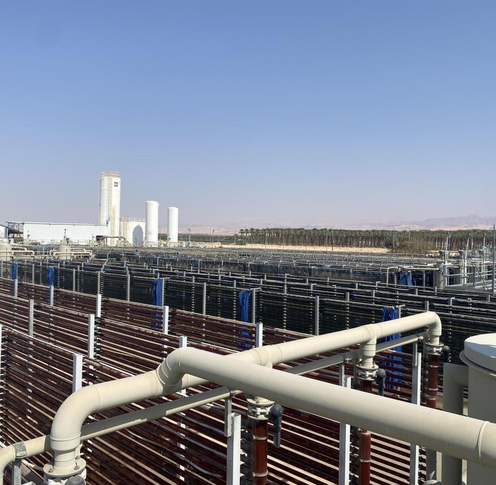 The algae farm Algatech produces food supplements from microalgae in Kibbutz Ketura