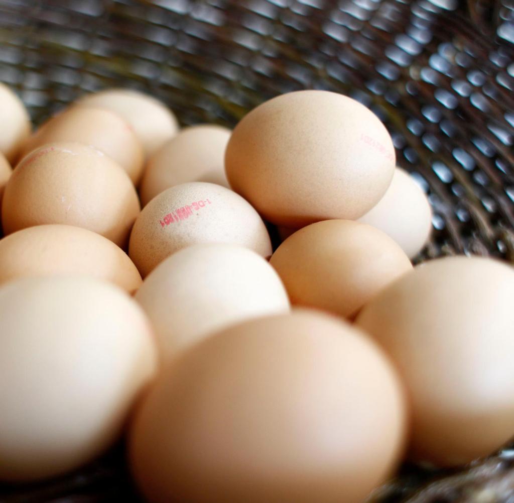 ClicKIT ShopInterview Unverpackt copyright by KIT Presse, Kommunikation und Marketing Abdruck honorarfrei im redaktionellen Bereich Belegexemplar erbeten